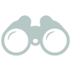 Light Grey Binoculars Icon