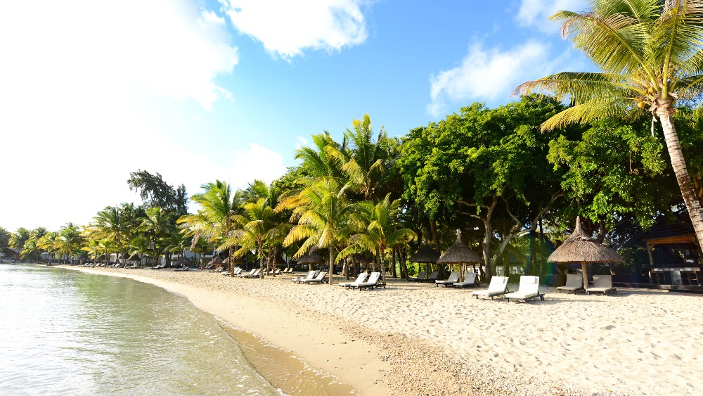 Palm-lined beach with loungers at The Ravenala Attitude